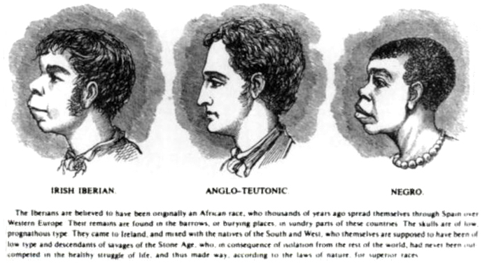 Tegning af H. Strickland Constable. 1899, Irland